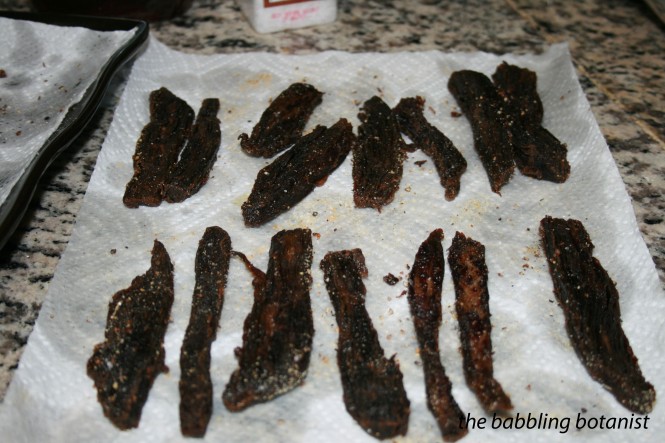 How To Make Teriyaki Beef Jerky In A Dehydrator - Recipes Worth Repeating