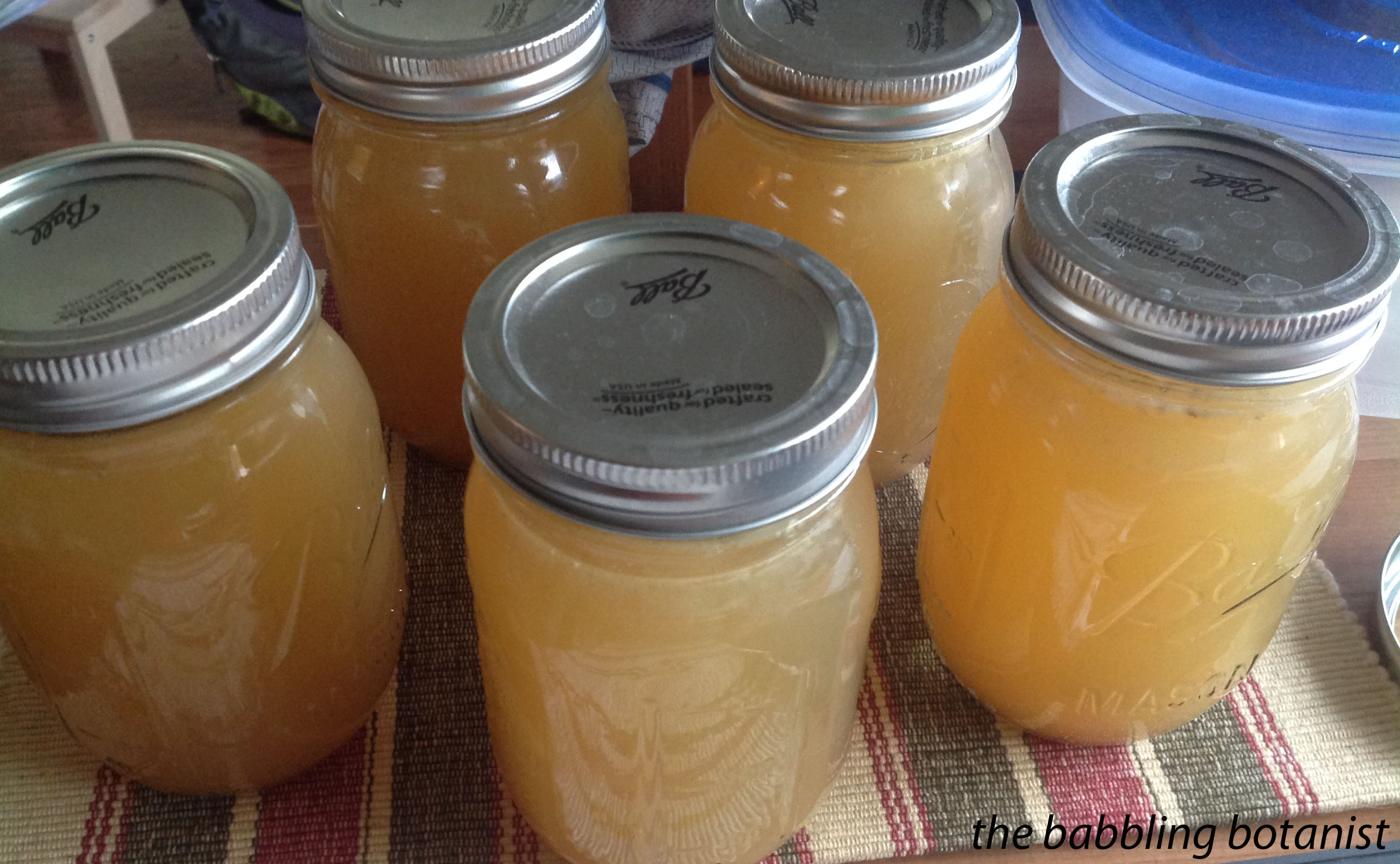 Winter Canning: A Love Affair with My Pressure Canner - Sufficient Growing